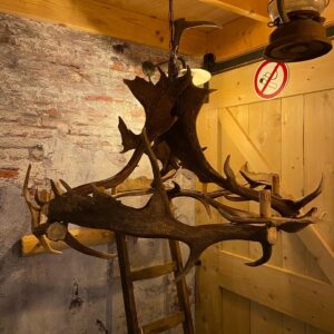 0371644e ccc9 4e30 b9bd 42ac6b8b052f