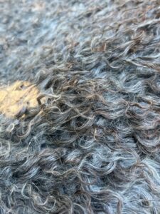 49411cc8 fdda 48d7 bce6 059f80d62b3f